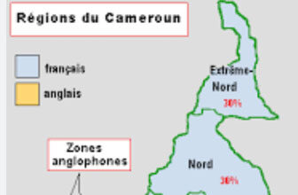 PRIX DU VIVRE-ENSEMBLE : Contre le tribalisme et les discours de haine, valoriser les ponts pour exorciser la menace : Ouest Echos joue sa partition